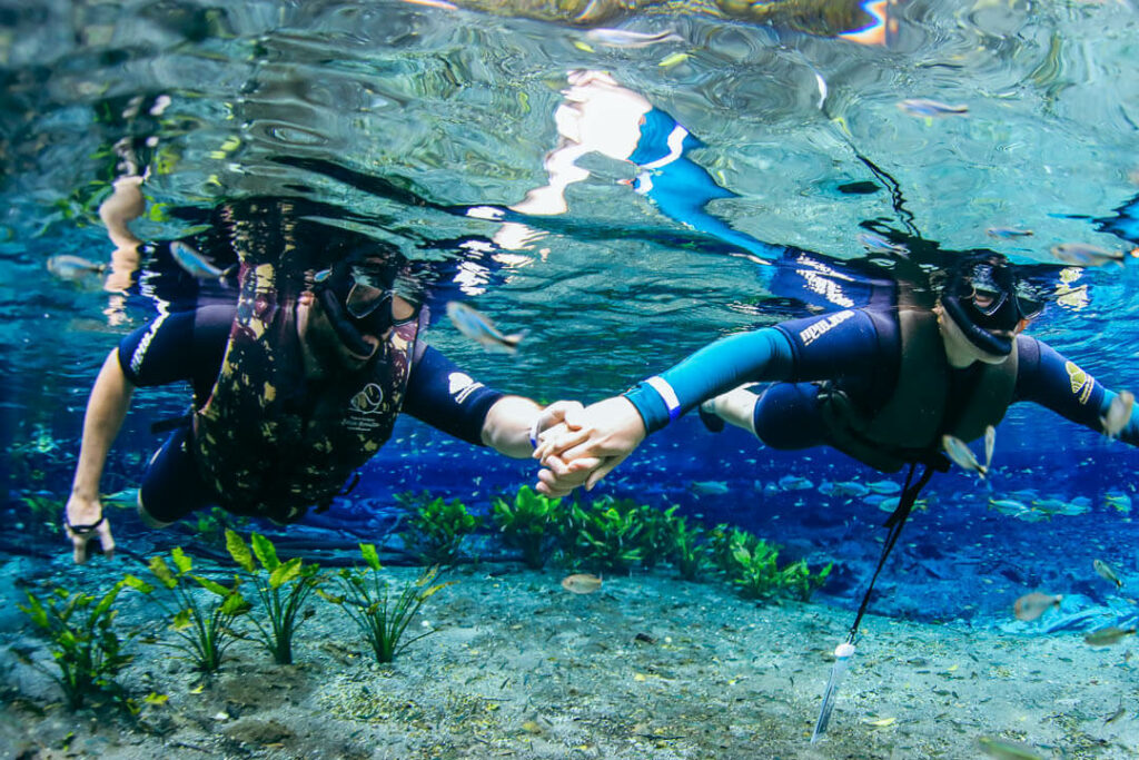 Flutuação no Aquário Natural em Bonito MS