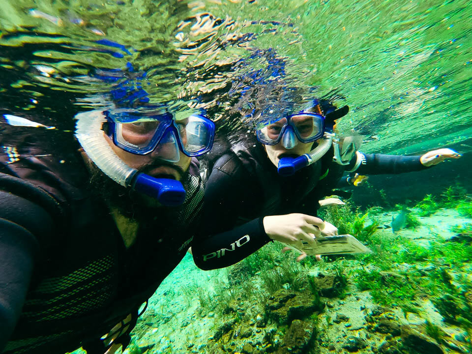 Flutuação na Nascente Azul em Bonito MS