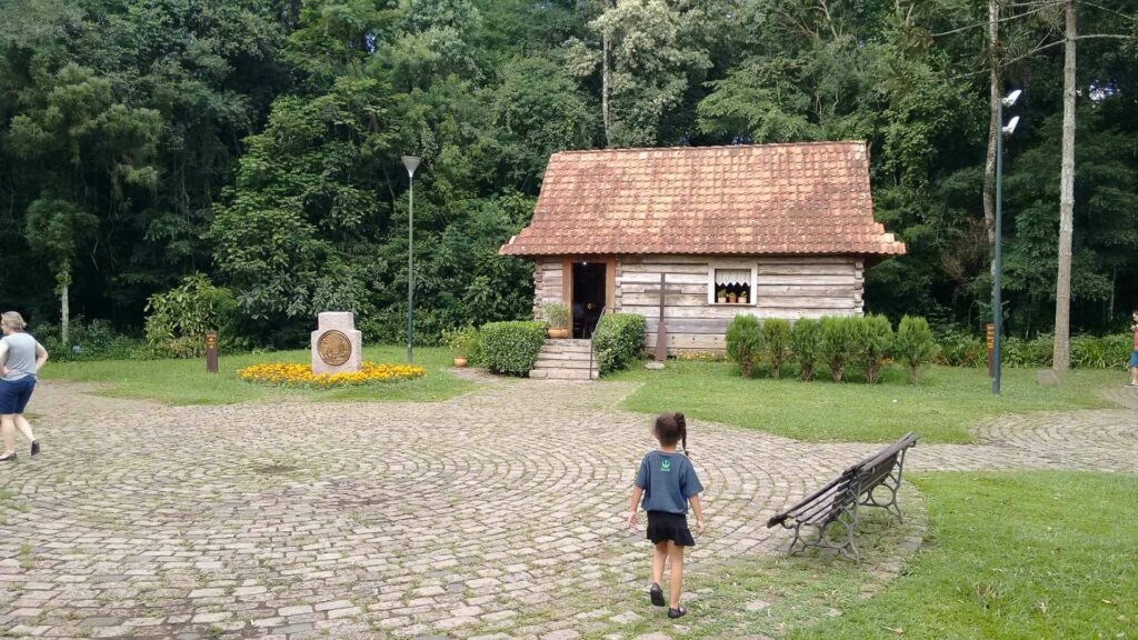 Bosque do Papa Curitiba