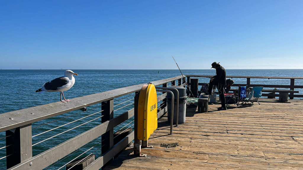 Stearns Wharf Santa Barbara