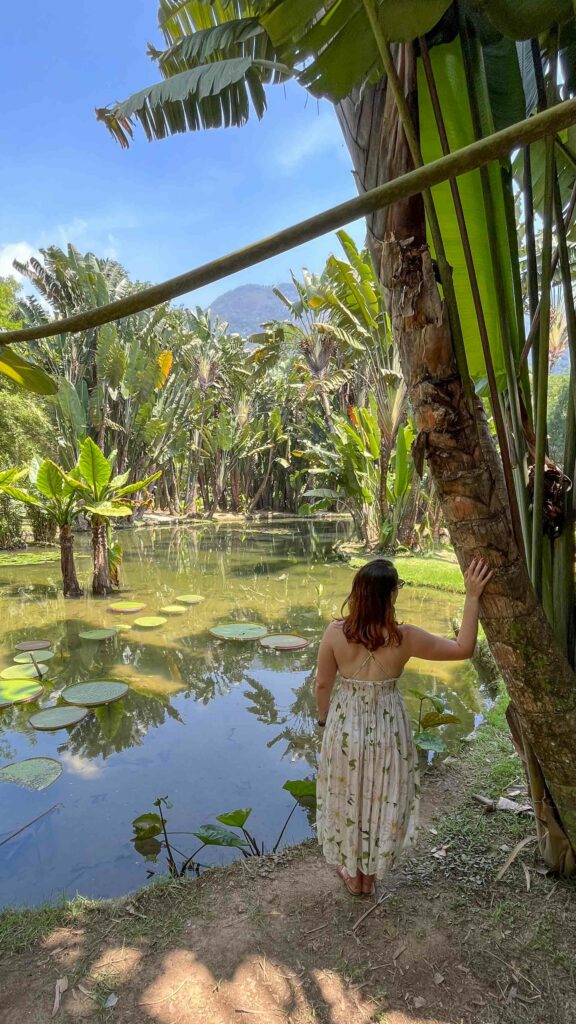 Jardim Botânico do Rio de Janeiro