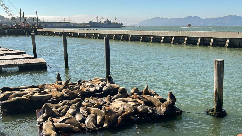 Pier 39 em San Francisco