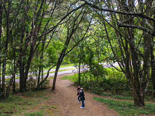 Entrada do Memorial Ucraniano via parque