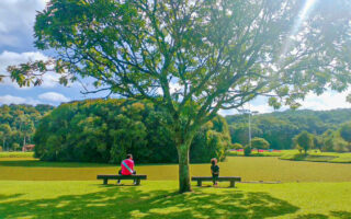 Parque Tingui Curitiba