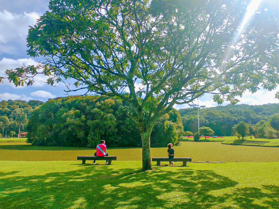 Parque Tingui Curitiba