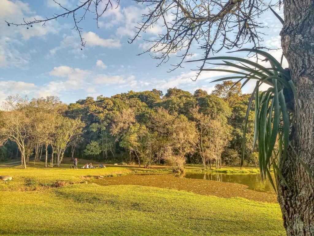 Parque Tingui em Curitiba