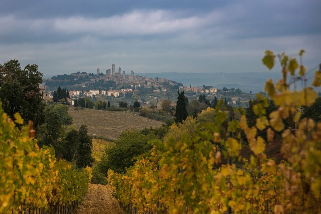 Vinhedos em San Gimignano Itália