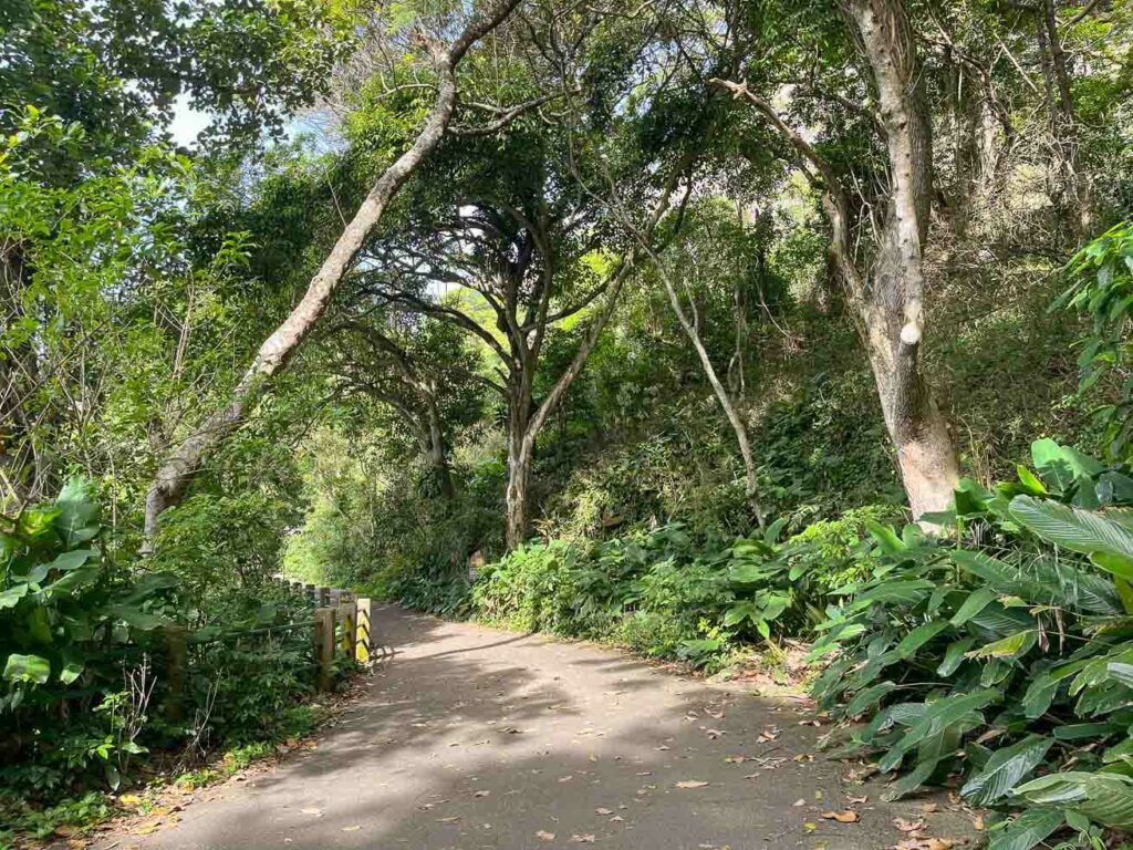 Pista Cláudio Coutinho - Urca Rio de Janeiro