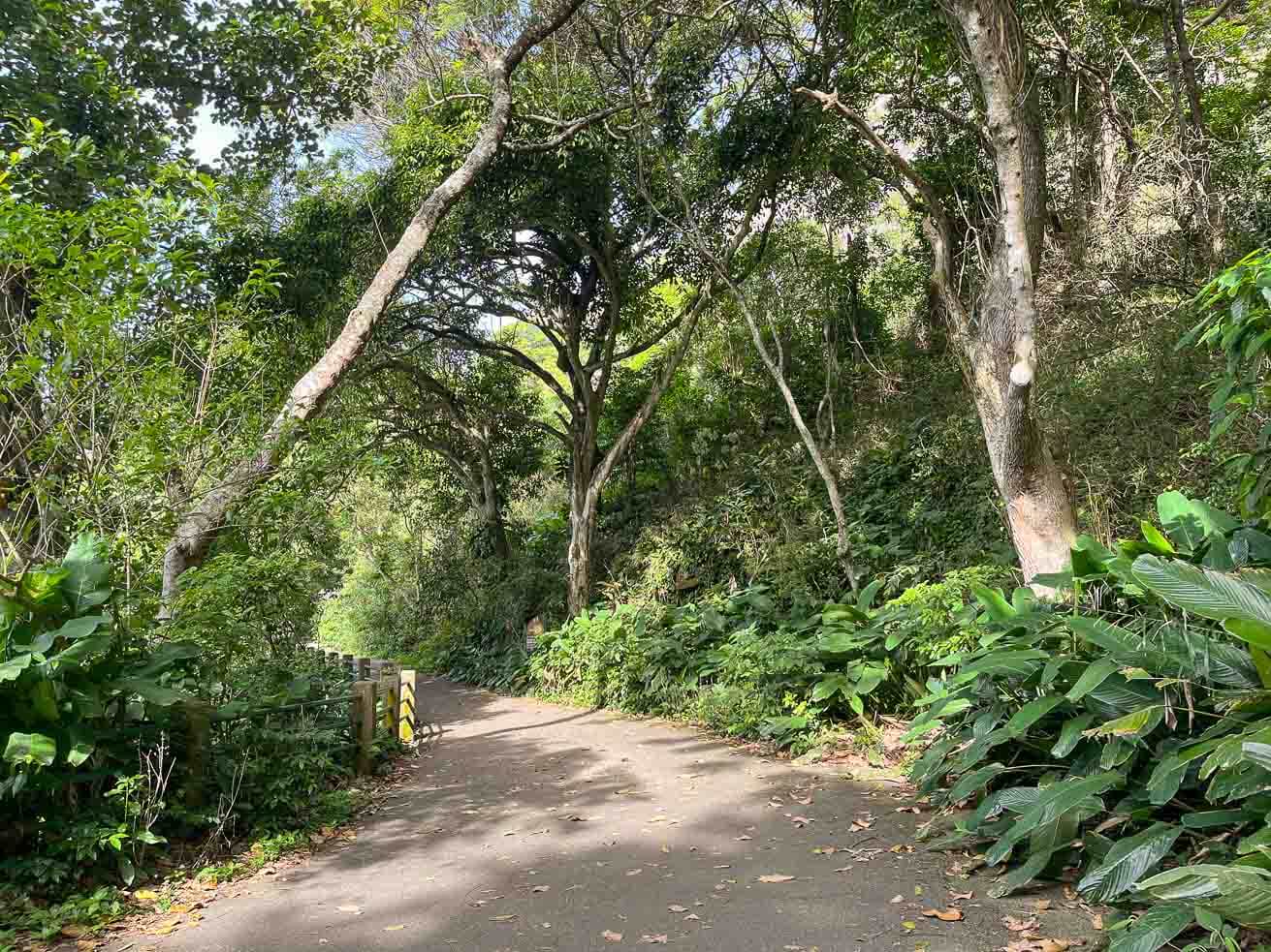 As melhores trilhas de Moto Trail em Rio de Janeiro (Brasil)