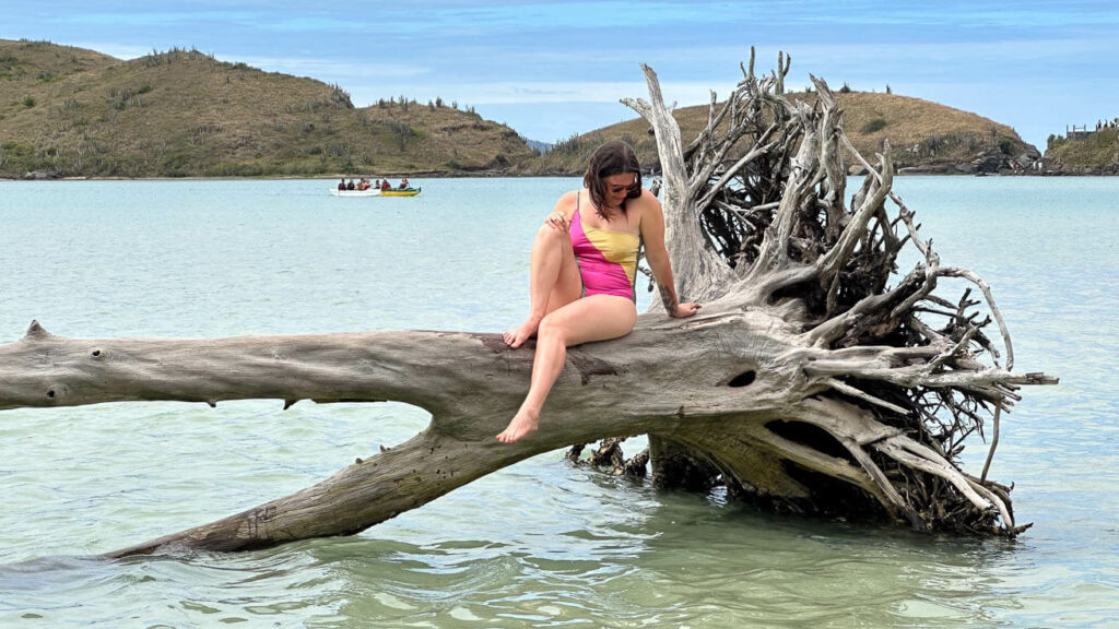 Ilha do Japonês em Cabo Frio