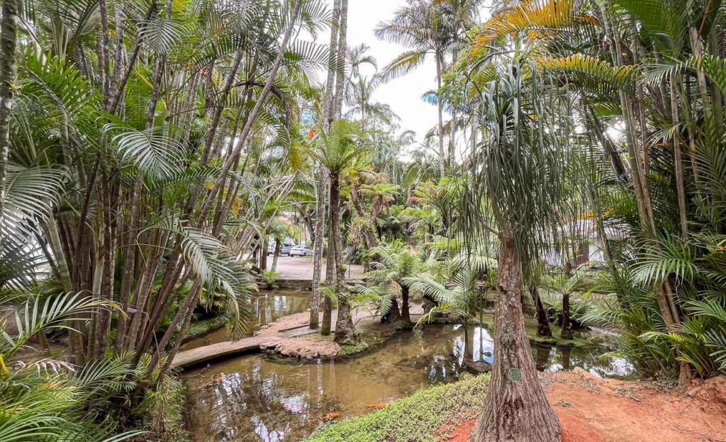 Lago de carpas - orquidário Binot.