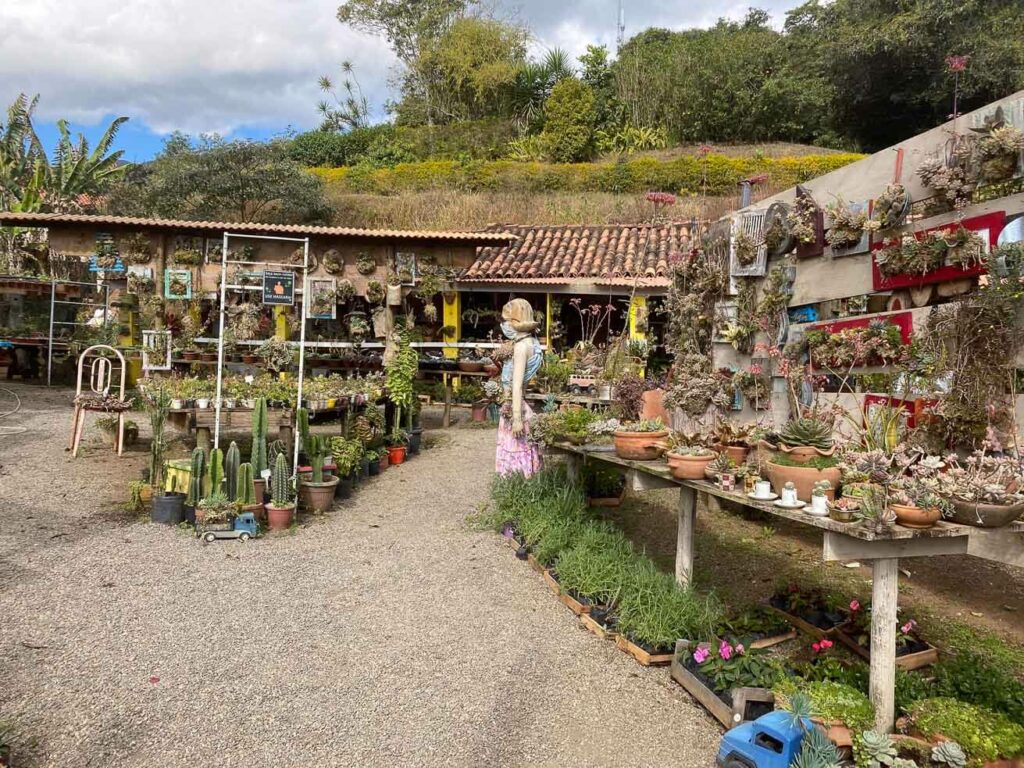 Viveiro Arte e Plantas - Vale das Videiras