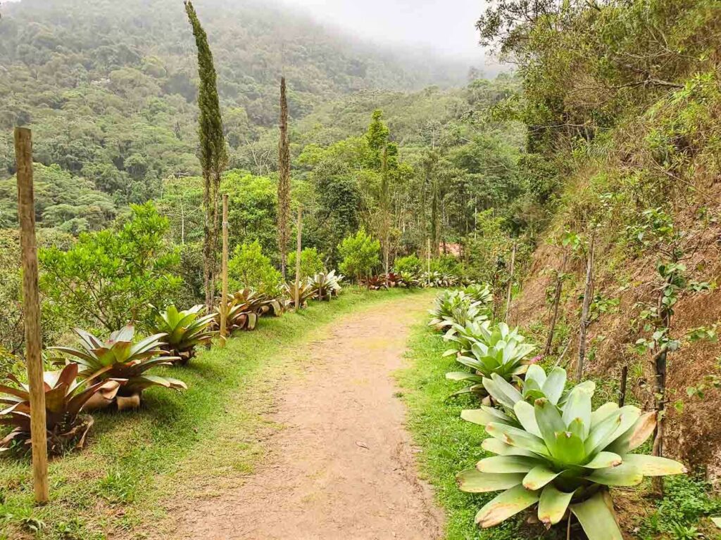 Vale do Amor Petrópolis