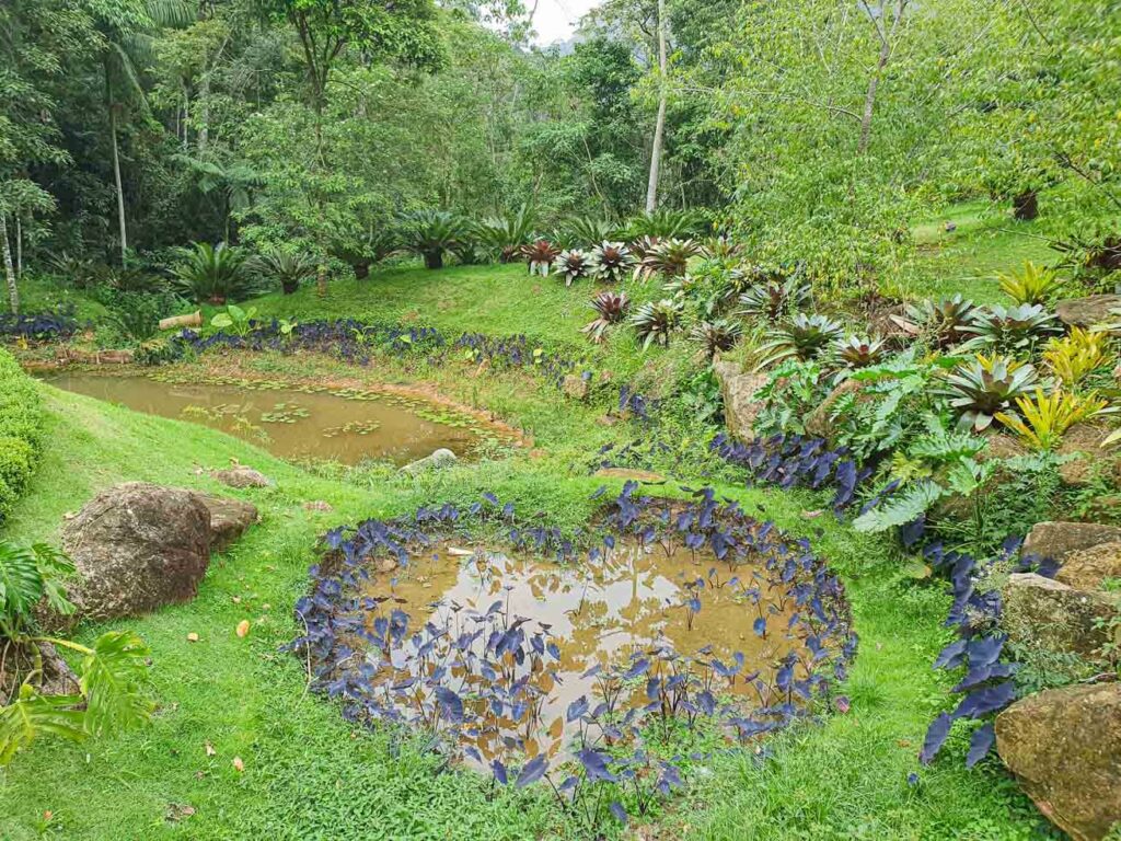 Vale do Amor Petrópolis