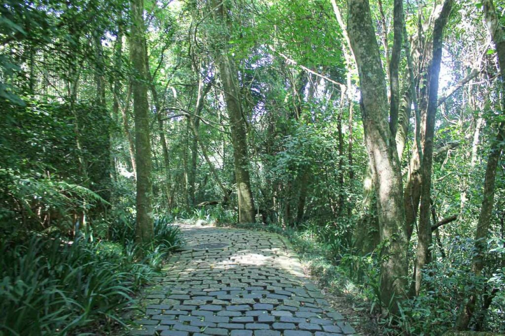 Caminho dos contos Bosque Alemão