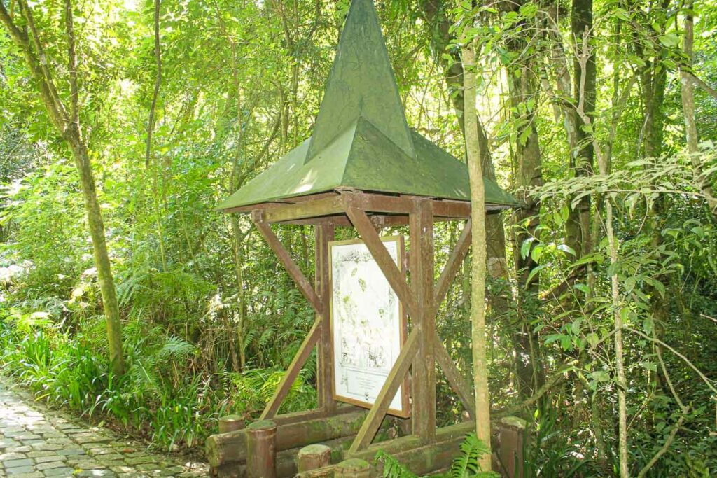 Caminho dos contos Bosque Alemão