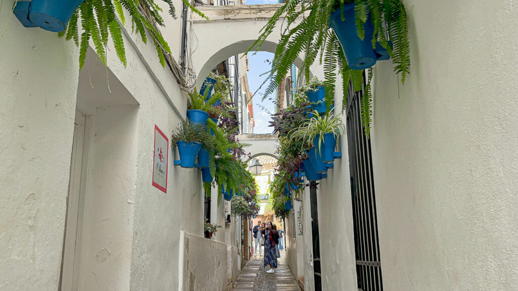 Calle de las Flores Córdoba