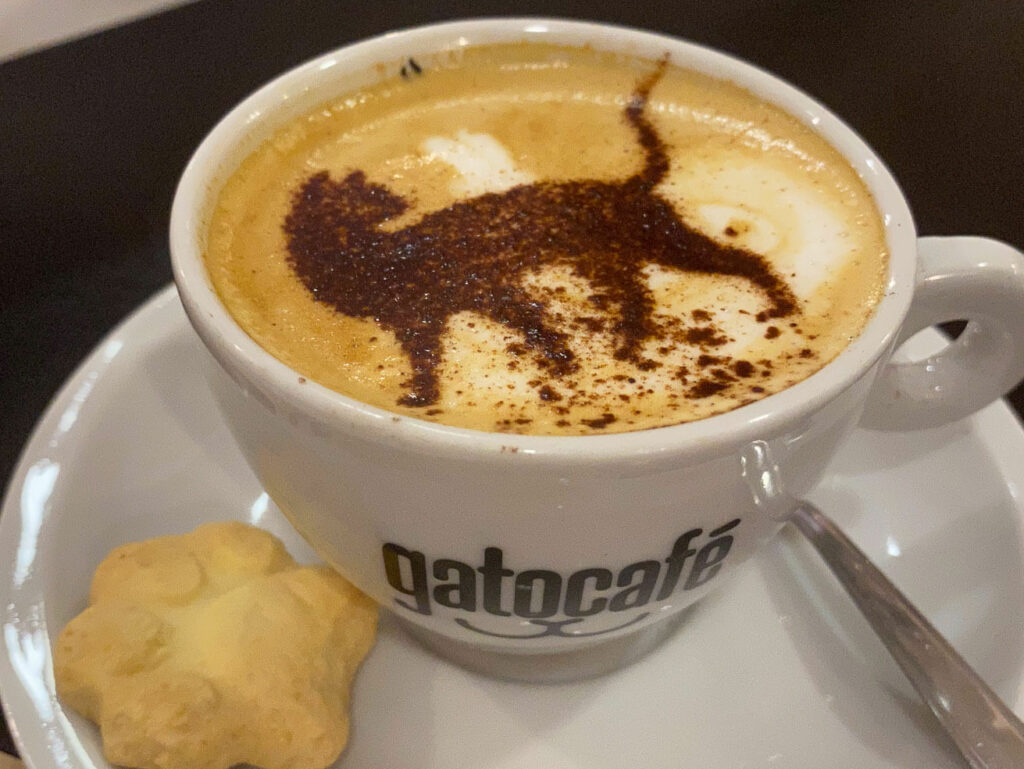 Gato Café Rio de Janeiro