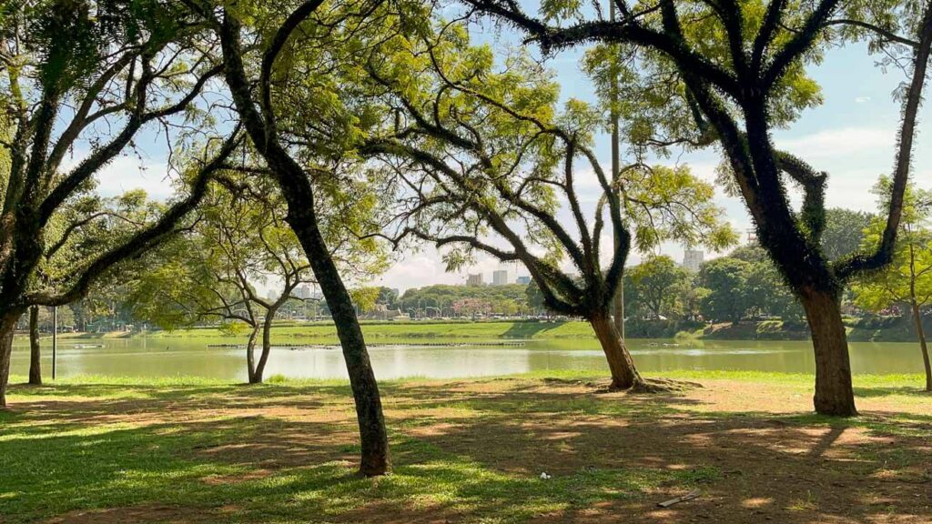 Lago do Parque Ibirapuera