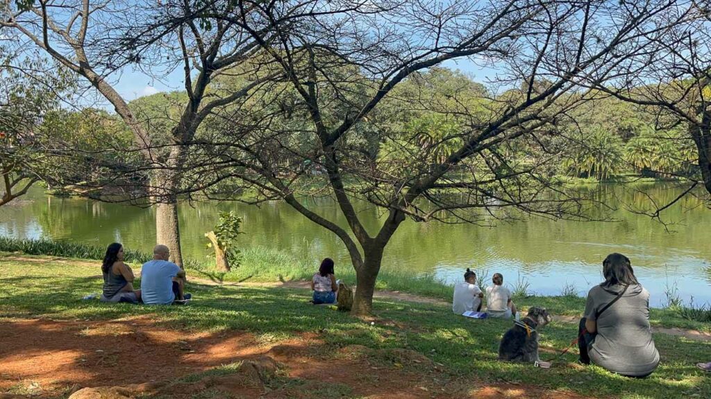 Parque Ibirapuera São Paulo