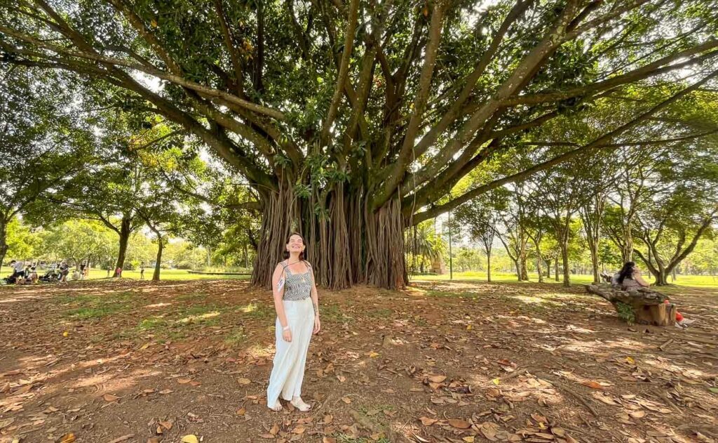 Parque Ibirapuera São Paulo