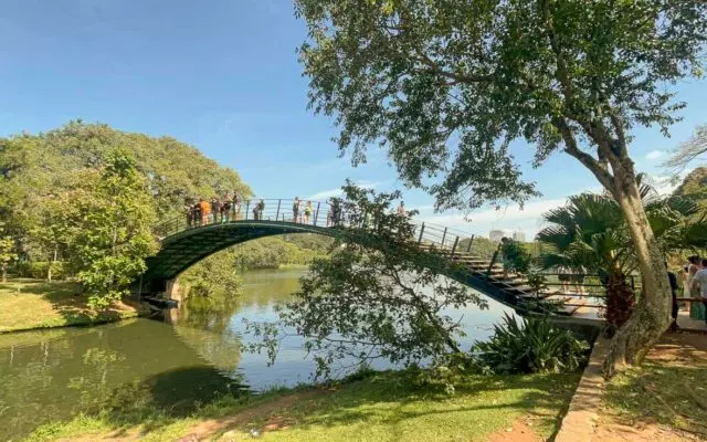 Ponte Metálica Parque Ibirapuera