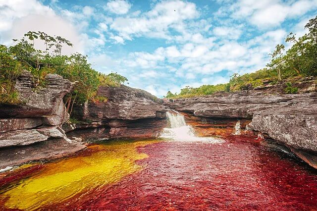 Caños cristales na Colômbia