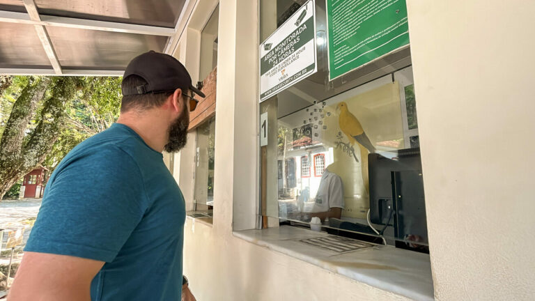 Jardim Botânico Rio de Janeiro: o que saber antes de ir