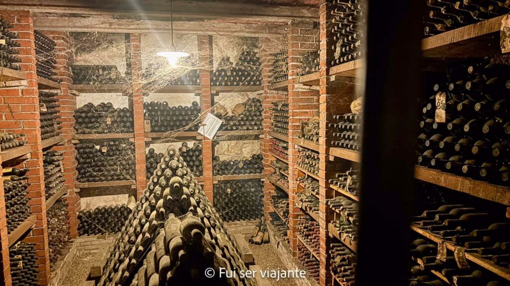 Vinhos de guarda da família Verrazzano