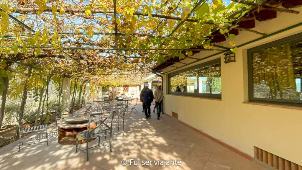 Passeio guiado na vinícola da Toscana