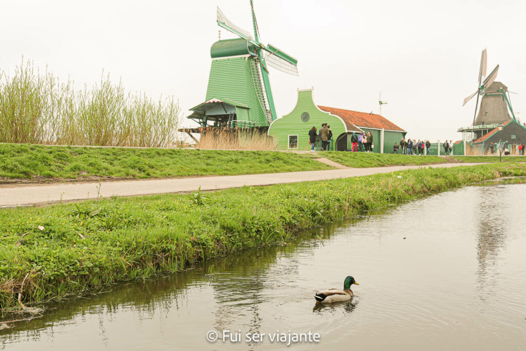 Zaanse Schans - bate volta de Amsterdam