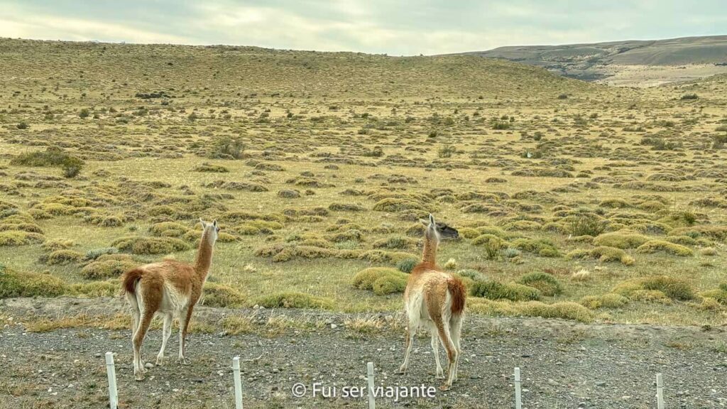 Estrada para Torres del Paine