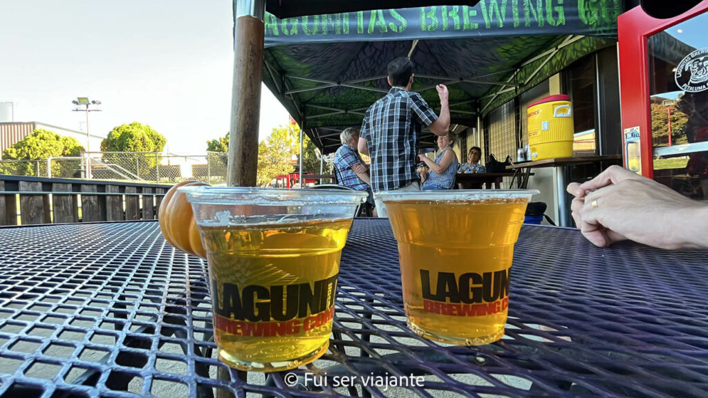 Lagunitas Little Sumpin.