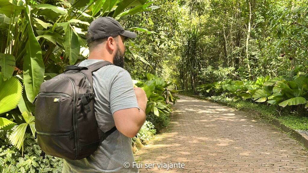 Instituto Inhotim - caminhando pelos jardins