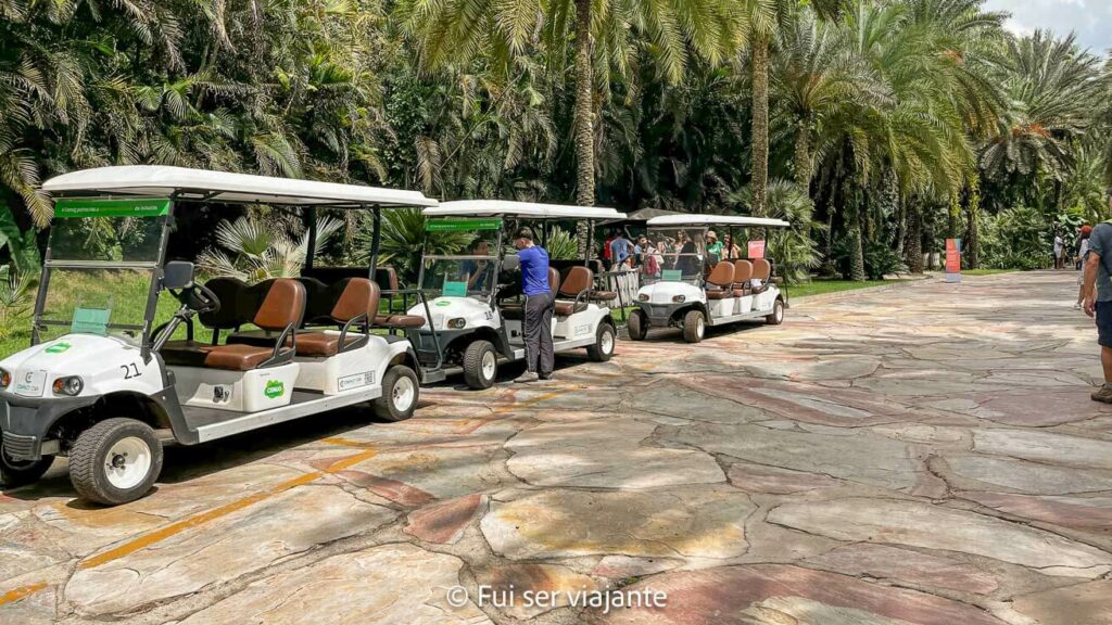 Transporte interno Inhotim
