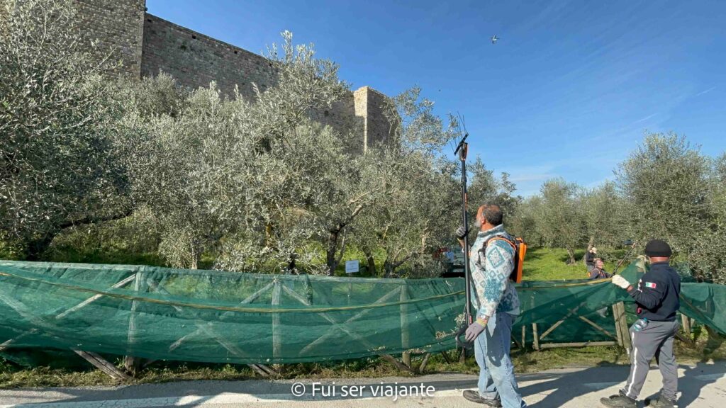 Monteriggioni Itália