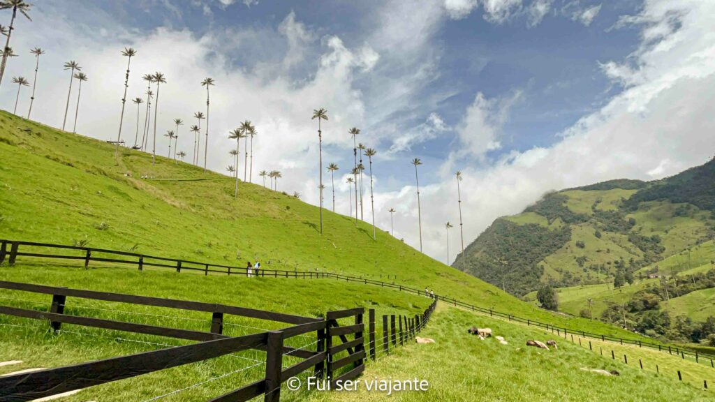 Vale de Cocora Colômbia