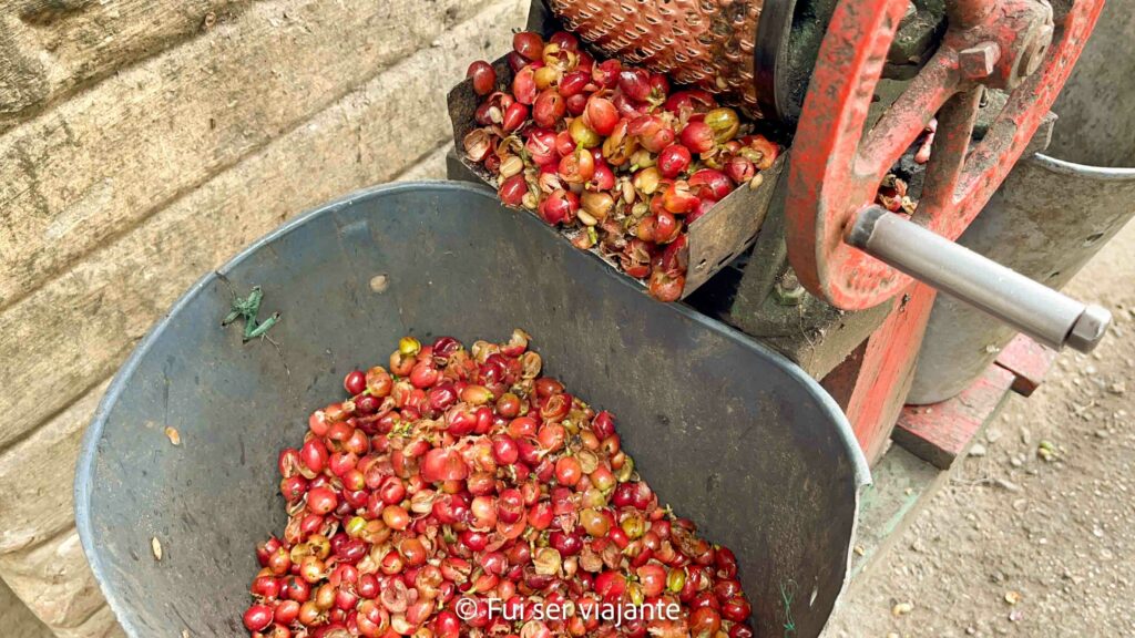 Fazendas de café Colômbia