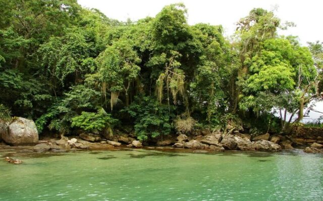Lagoa Verde Ilha Grande
