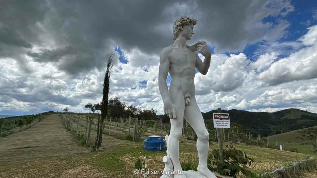 Vinícola Boa Vista Cunha