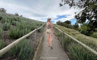 O que fazer em Cunha, São Paulo