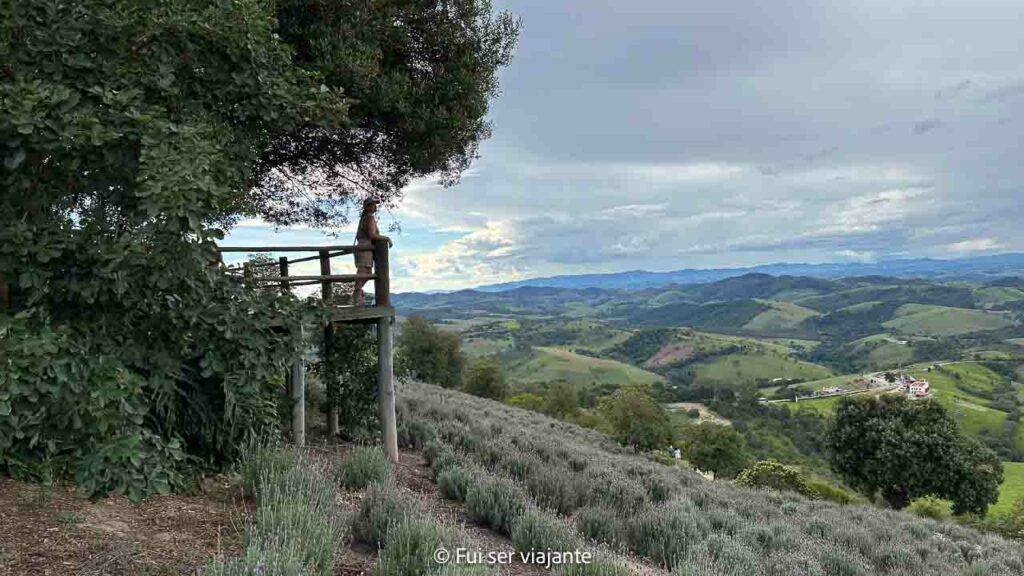 Lavandário de Cunha