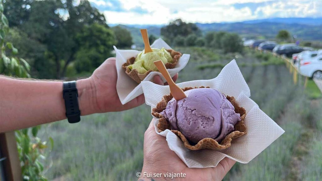 Sorvetes de lavanda no lavandário de Cunha
