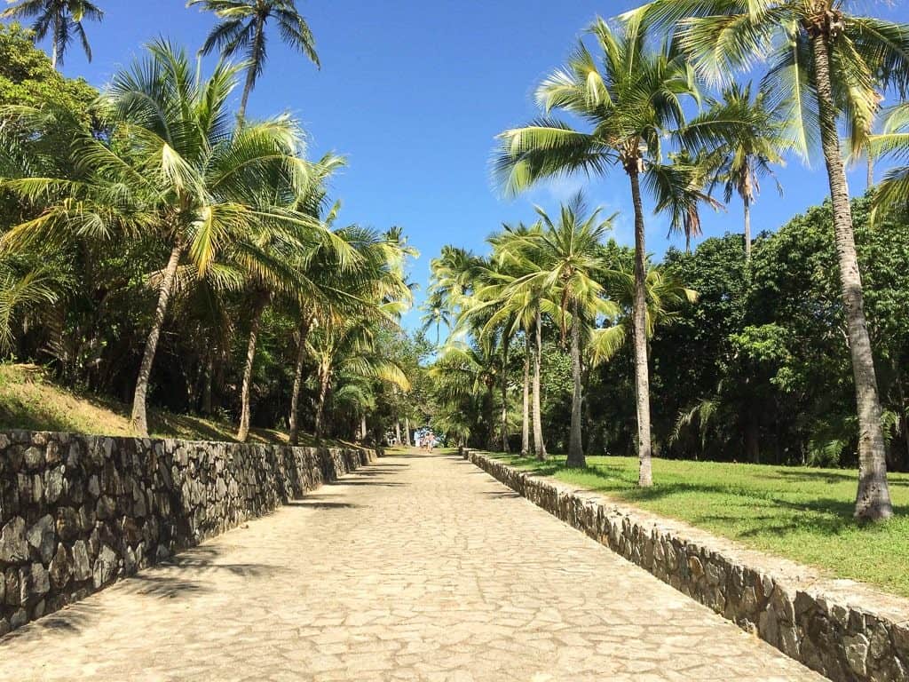 Caminho de palmeiras do Castelo Garcia D'Ávila, Praia do Forte Foto: Fui Ser Viajante