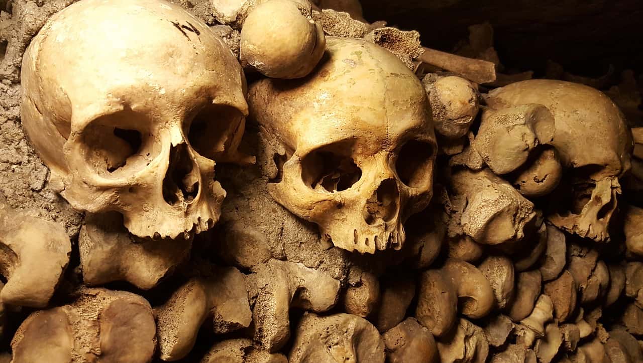 Ossos nas Catacumbas de Paris. Foto: Fui ser viajante