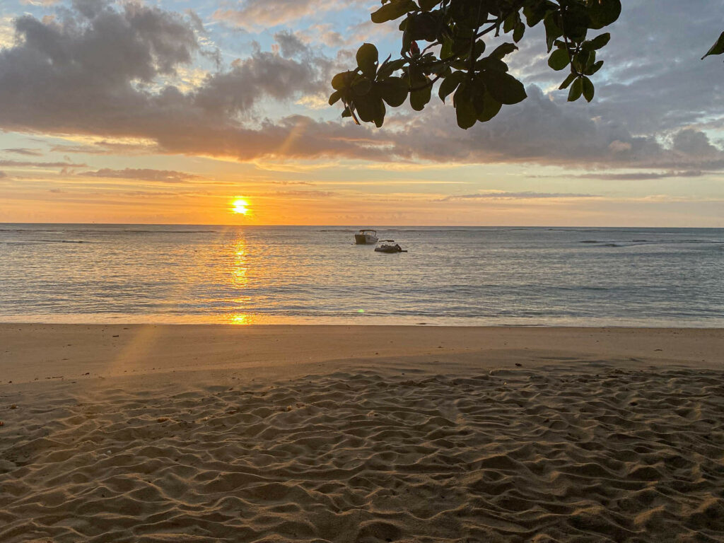 Vista geral da Praia do Espelho, com falésias e coqueiros. Foto: Fui Ser Viajante