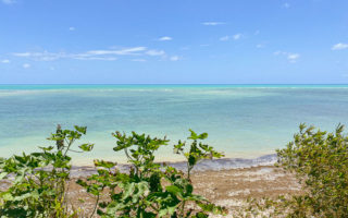 Praias de Maragogi