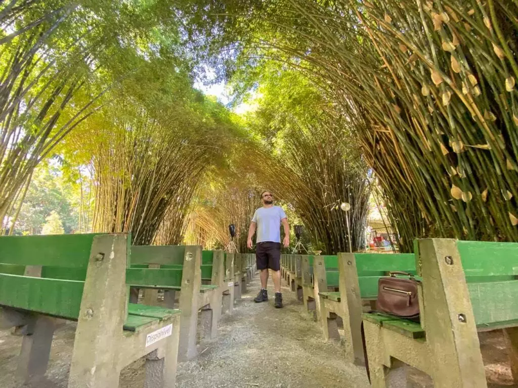 Catedral de Bambu Parque das Águas São Lourenço. Foto: Fui ser viajante