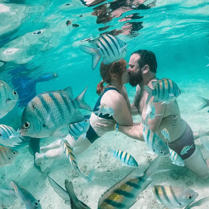 As piscinas naturais de Galés são o principal cartão-postal de Maragogi | Foto: Fui Ser Viajante