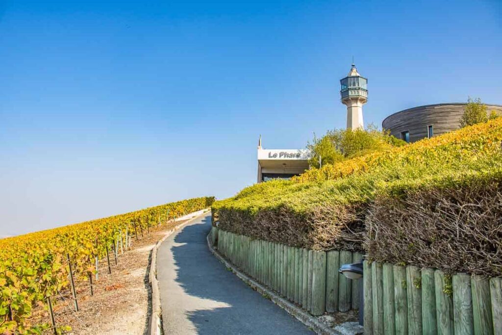 Rota do Champagne na França